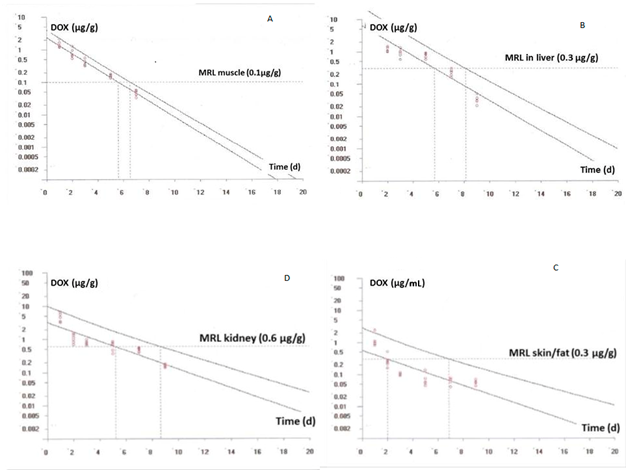 Click here to view Large Image