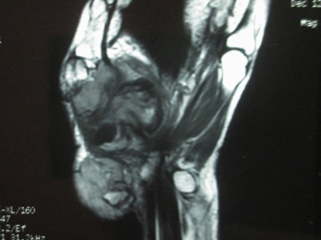 Click here to view Large Image