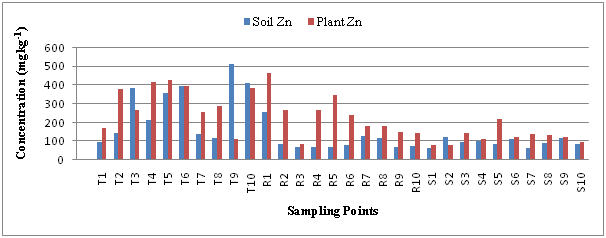 Click here to view Large Image