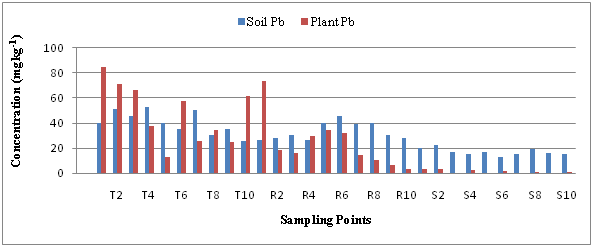 Click here to view Large Image