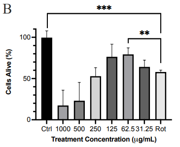 Click here to view Large Image