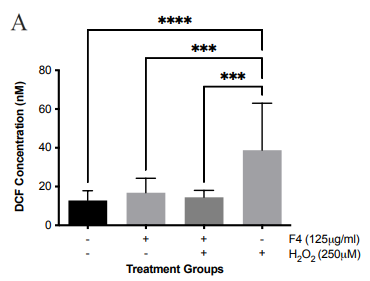 Click here to view Large Image