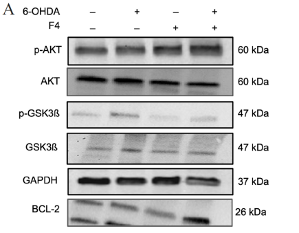 Click here to view Large Image