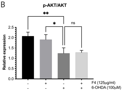 Click here to view Large Image