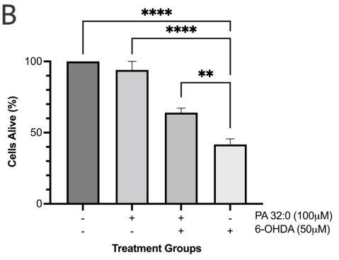 Click here to view Large Image