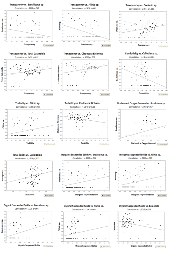 Click here to view Large Image