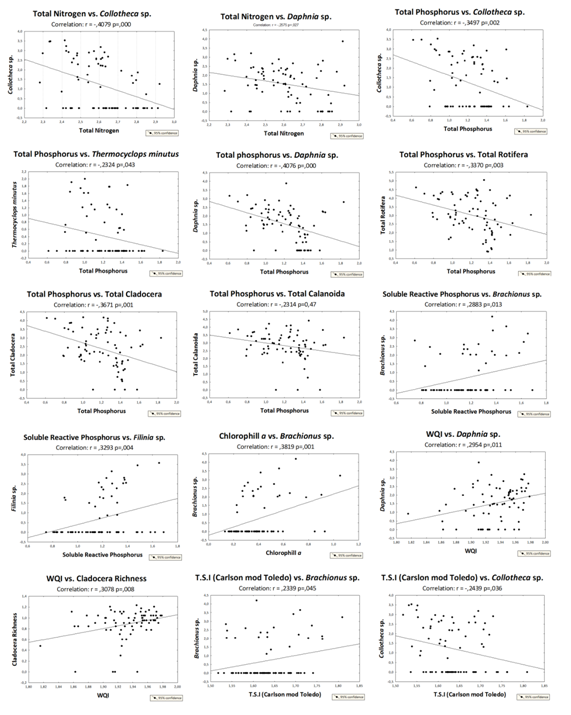 Click here to view Large Image