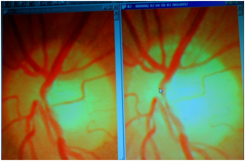 Click here to view Large Image