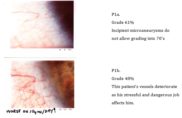 Click here to view Large Image