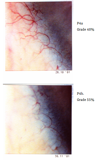 Click here to view Large Image