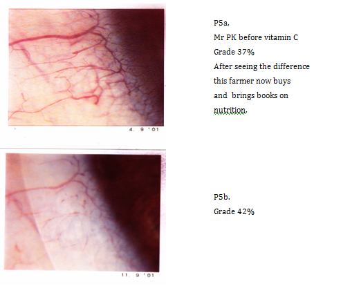 Click here to view Large Image