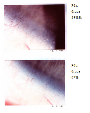 Click here to view Large Image