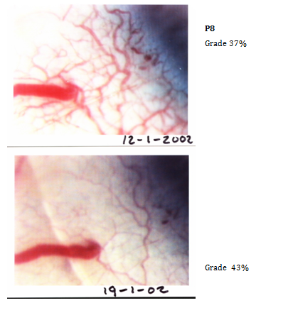 Click here to view Large Image