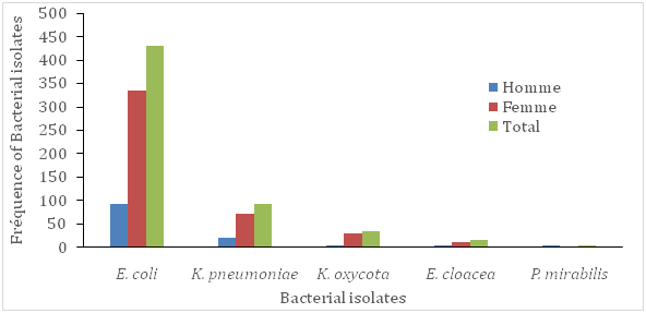 Click here to view Large Image