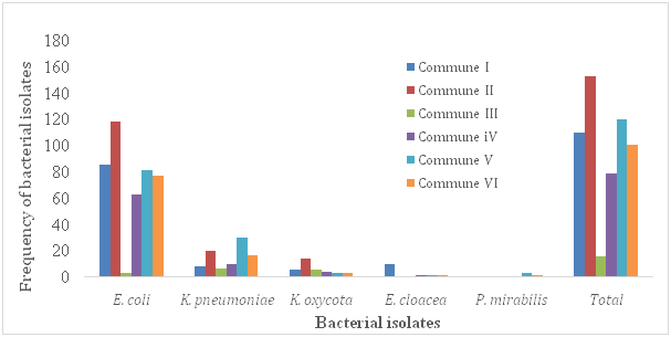 Click here to view Large Image