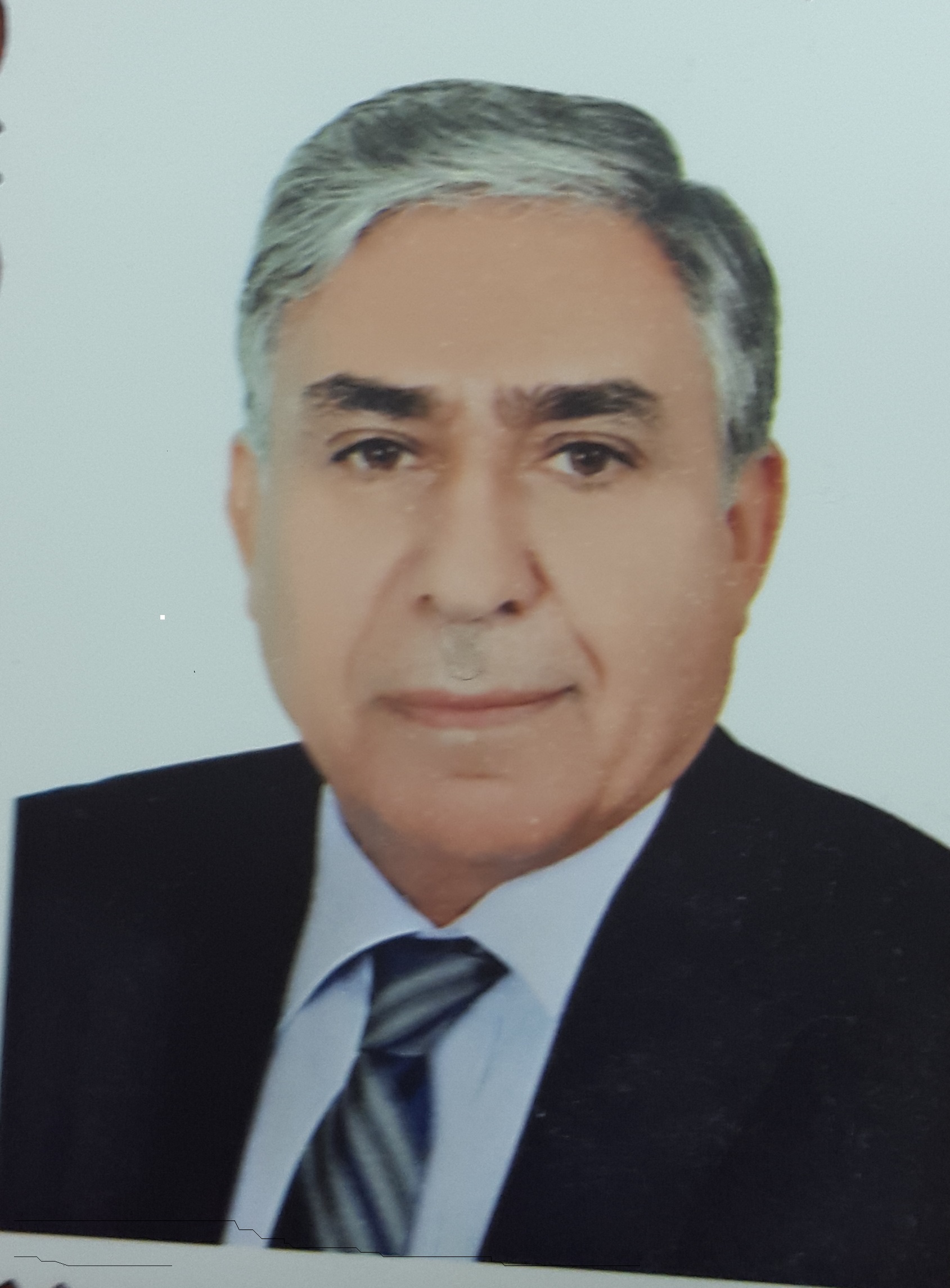 Professor Merza Hamza Homady
